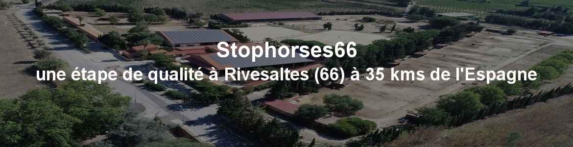 Stophorses66